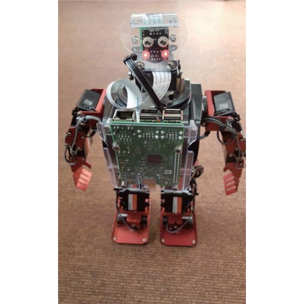 Humanoid robot training system