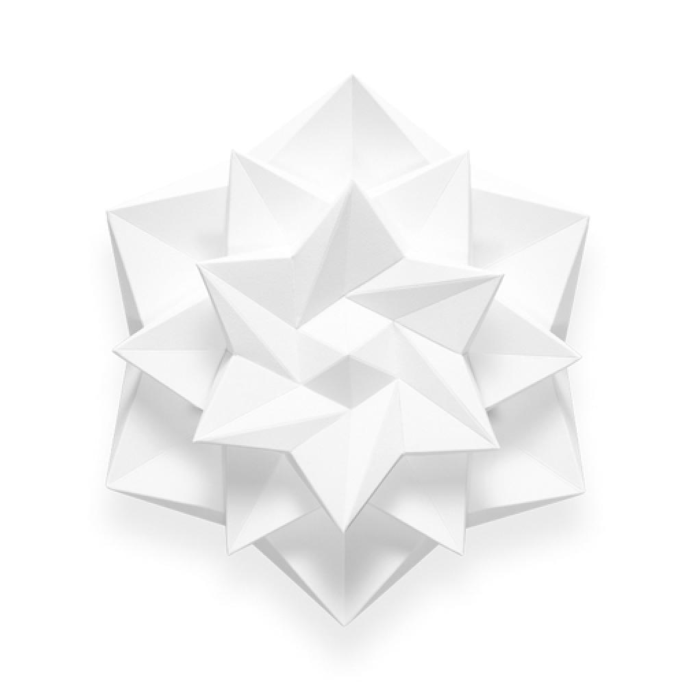 Nympha - Paper interior