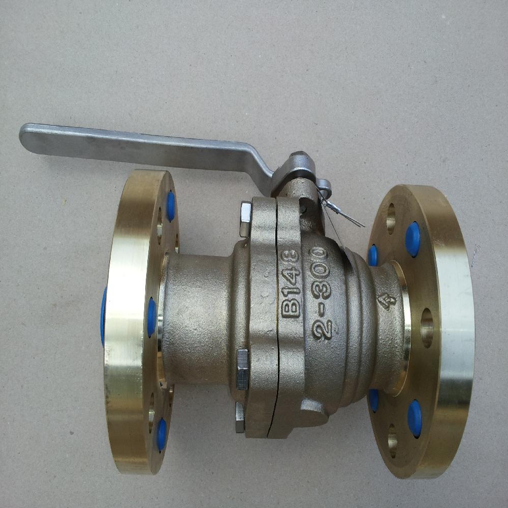 FLOATING FLANGED ENDS