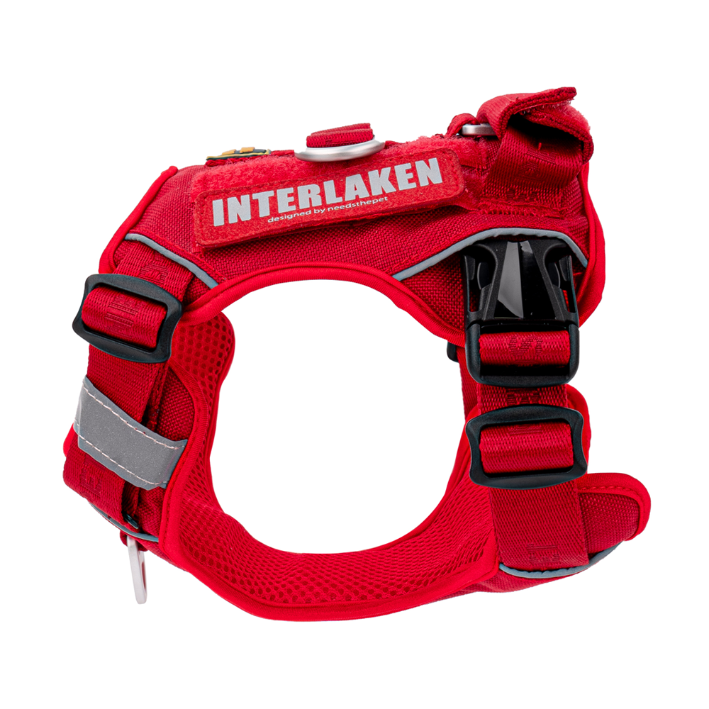 INTERLAKEN CUSTOM DOG HARNESS