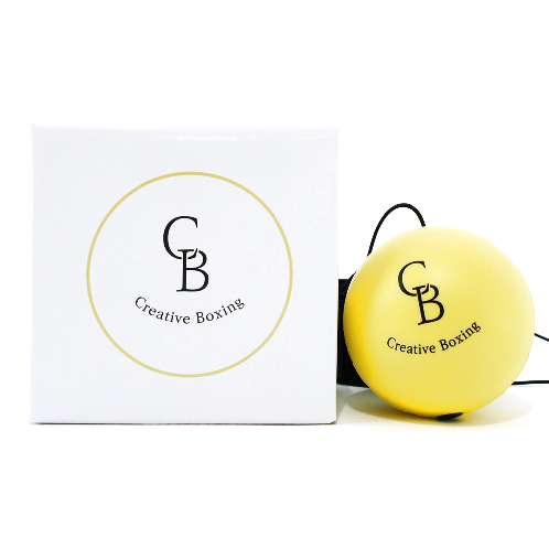 TAP Ball (boxing reflex ball)