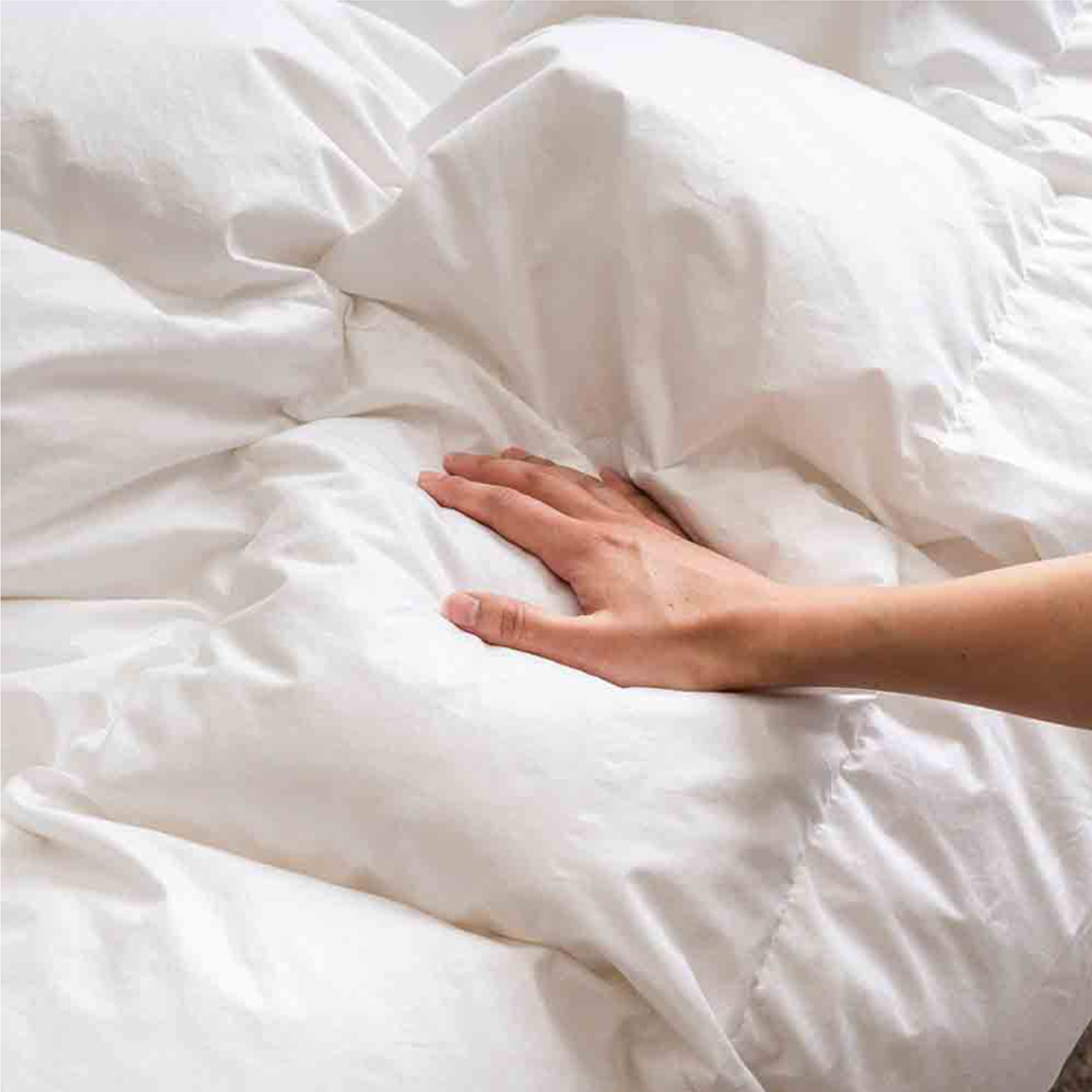 zero o'clock goose down Comforter (signature model)