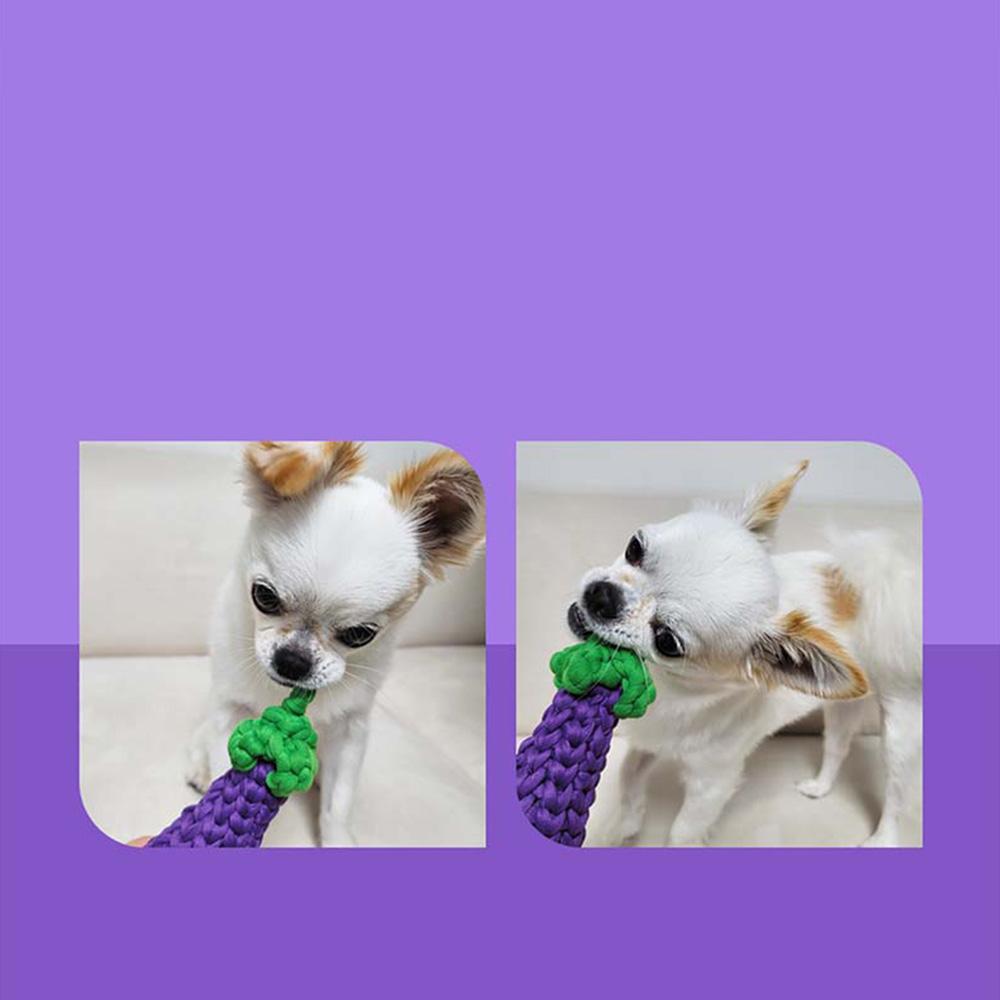Eggplant Catch Toy