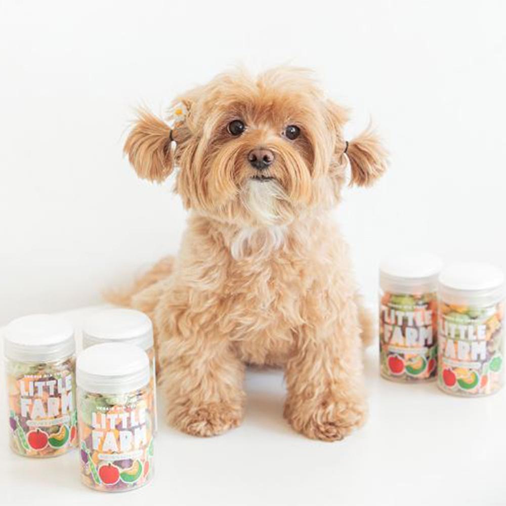 Little Farm Veggie Mix Treat 30g