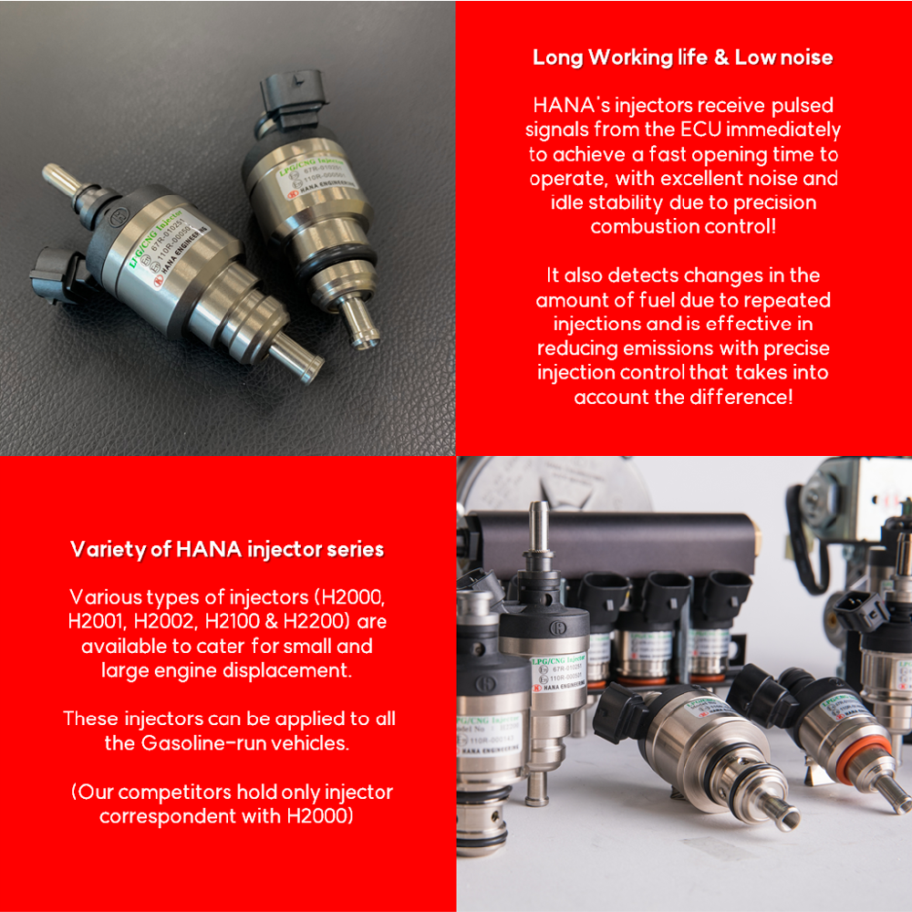 LPG CNG injector for VAN and Heavy Trucks (H2100)