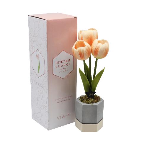 Cutie Tulip Pot LED