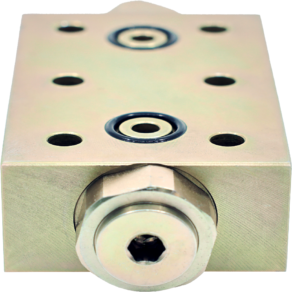 Double Pilot Check Valve