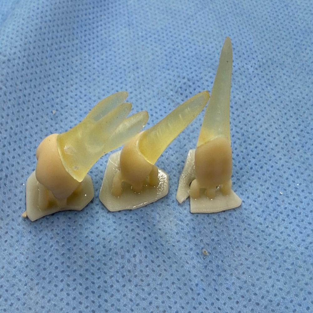 Dental Prosthetic Materials EZ-CERA Hybrid